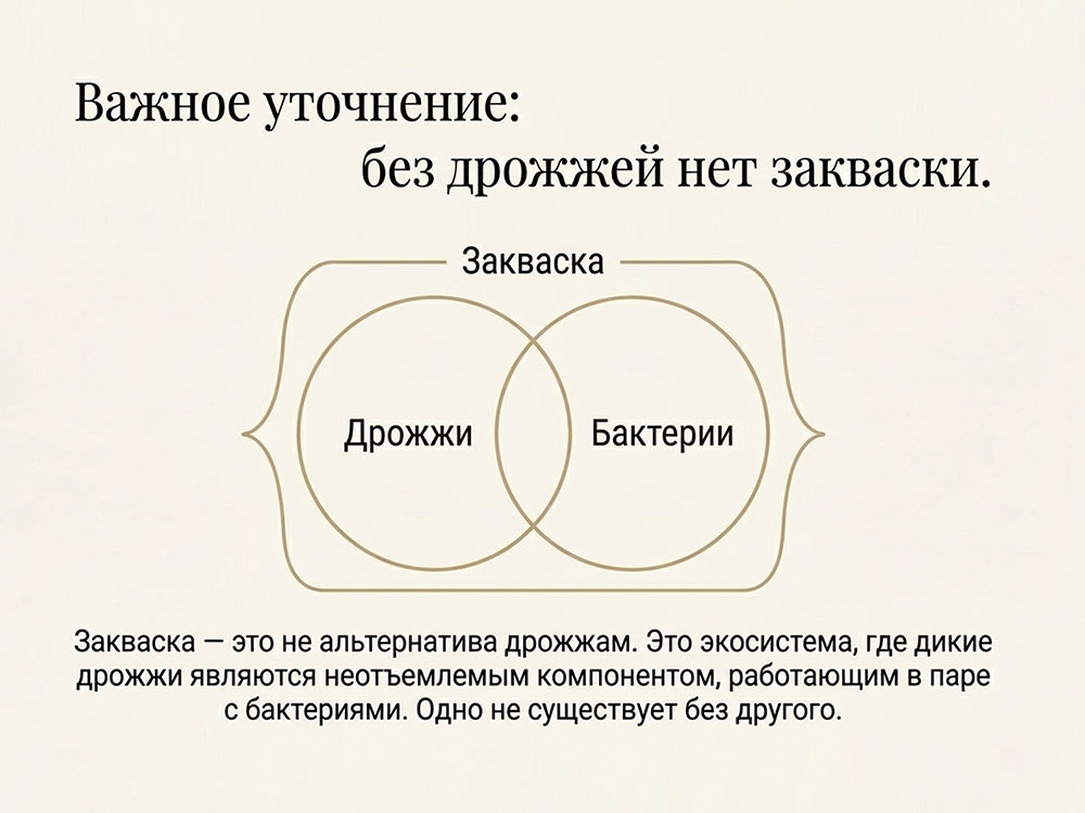 Душа Хлеба_Новость про хлеб с душой 5