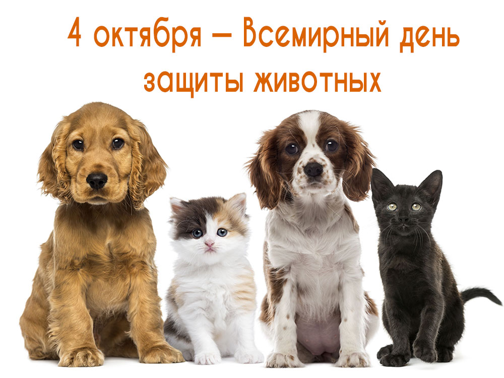 4 октября — Всемирный день защиты животных